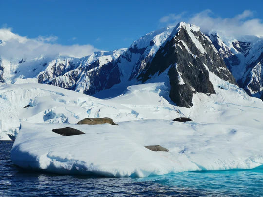 Antarctica