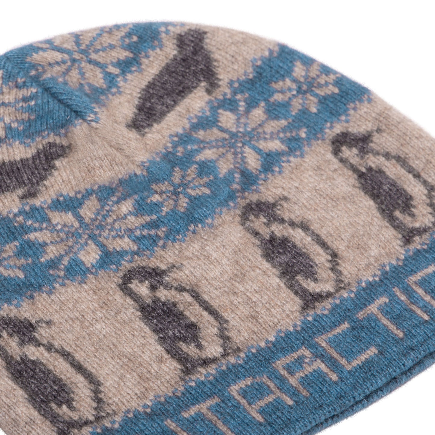 Antarctica Beanie (Sky Blue)
