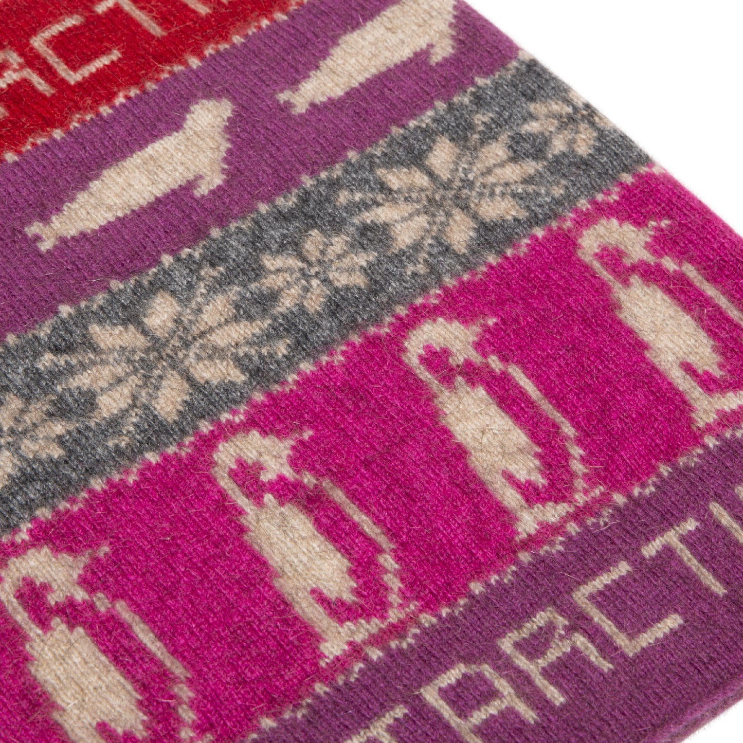 Antarctica Neck Gaiter (Purple)